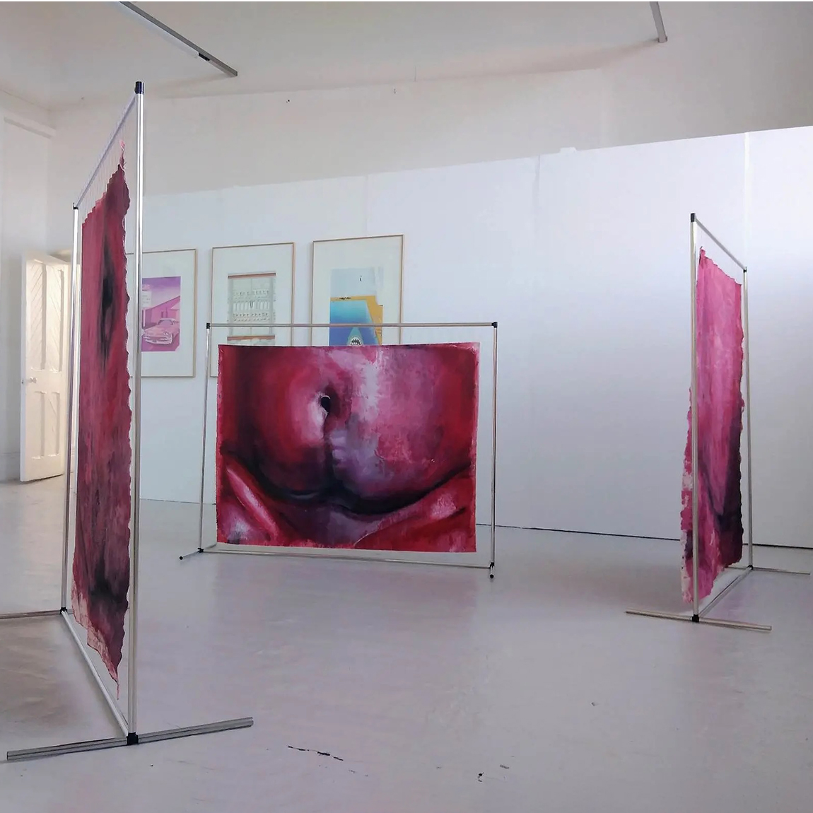 Student work by Clare Gregory. Large loose canvases hung in metal frames in a gallery space. The canvases have eery red toned close ups of a belly