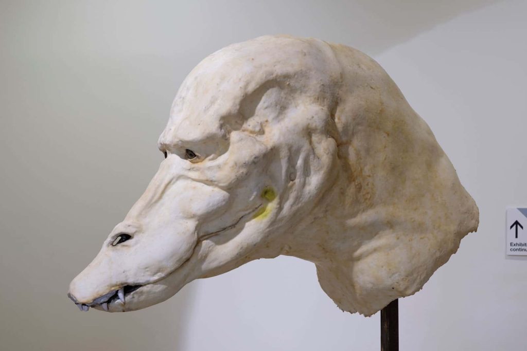 MA Fine Art sculpture made by Tom Browning of a beast heads in the MA Degree Show 2019