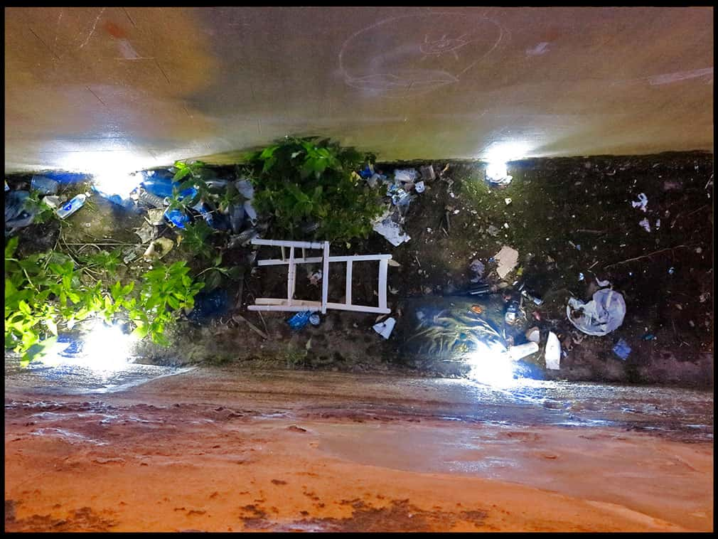 Derelict building interior with window frames hidden underneath overgrowth