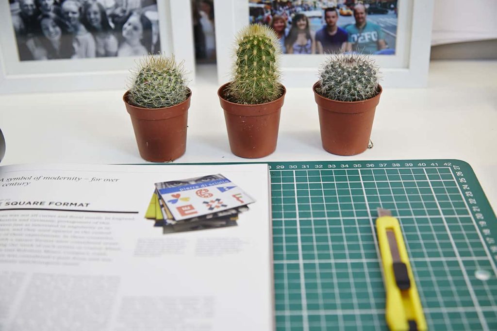 photo of a cutting board, magazine and scalpel in foreground and three cacti in the midground with two framed photos in the background on a white table