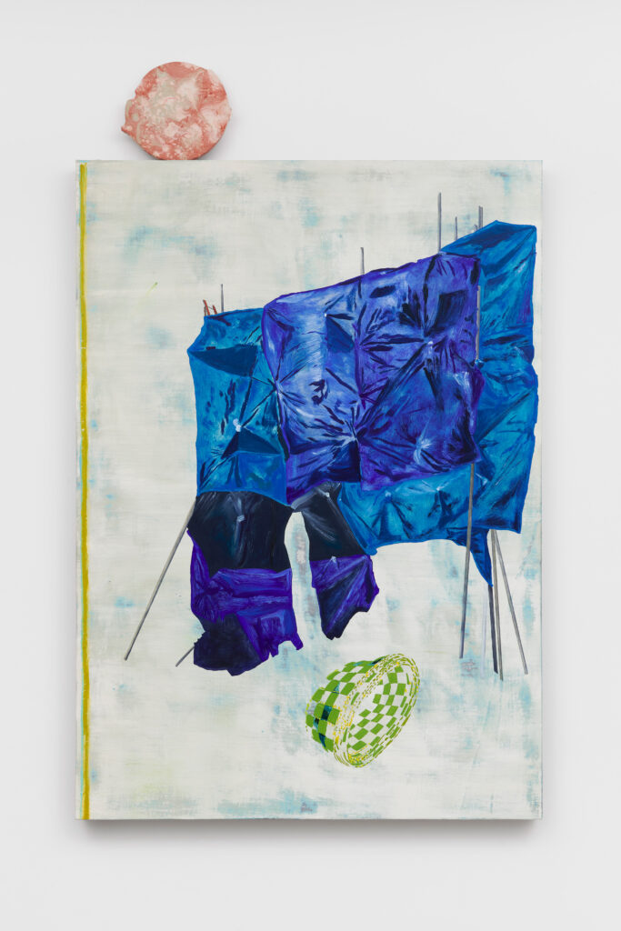 A painting features a crumpled, blue-purple fabric form suspended by rods, with a green and white checkered sphere below. A round, pink textured object rests at the top edge of the canvas against a white background.