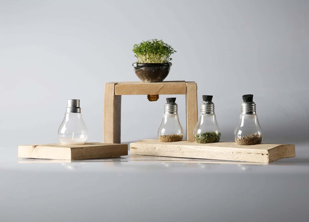 Plants growing from a lightbulb, and seeds stored in upside down light bulbs