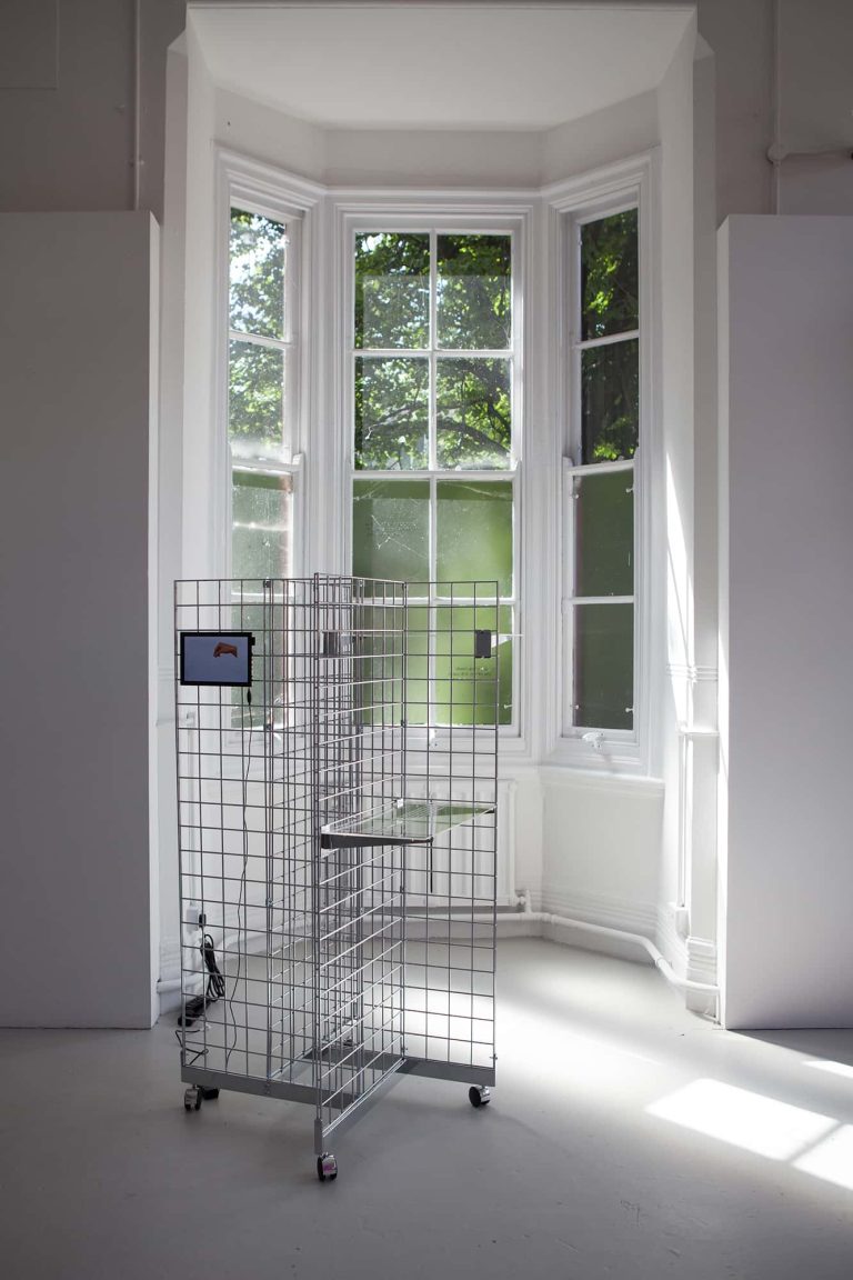 Installation of a metal cage with perspex shelves in the 2017 BA Degree Show