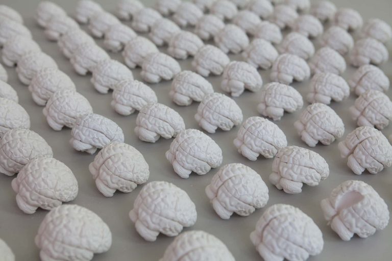 Dozens of tiny white casts of brains lined up on display in 2017 BA degree show