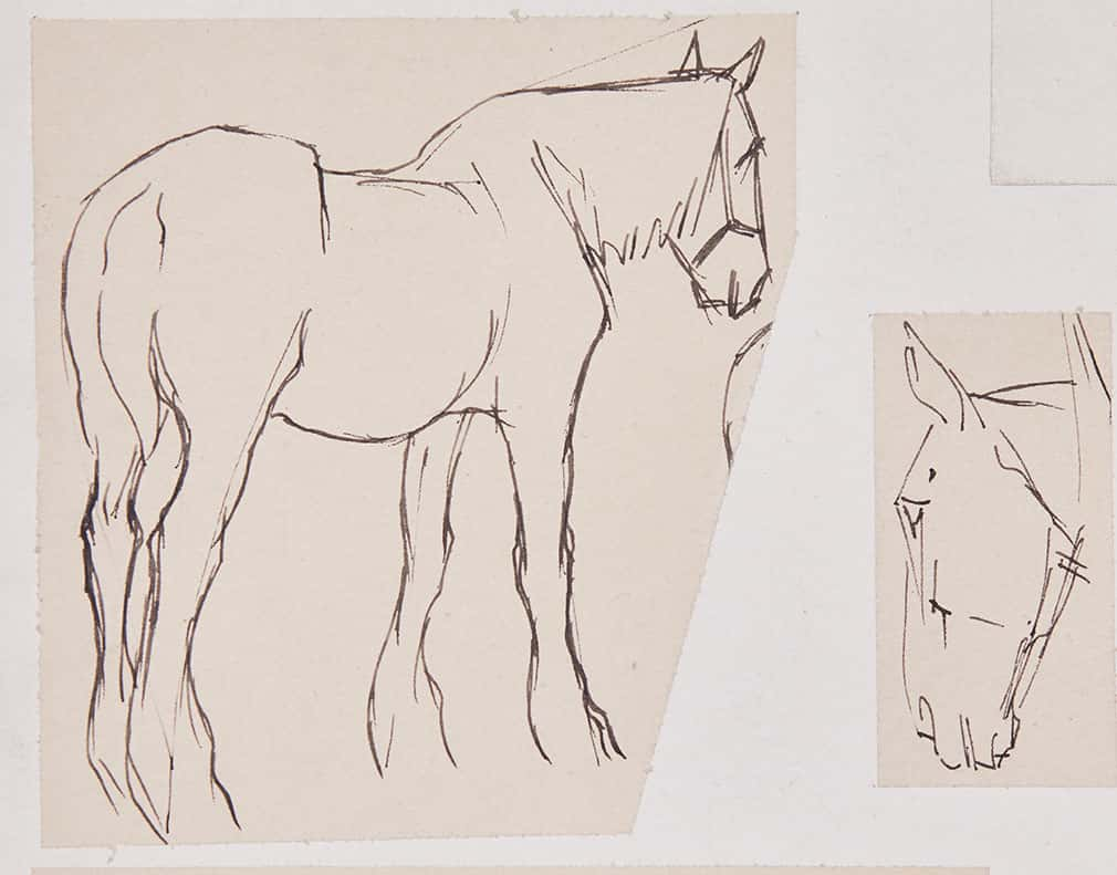 Alfred Munnings drawing of horse with a sketch of horse's head to the right