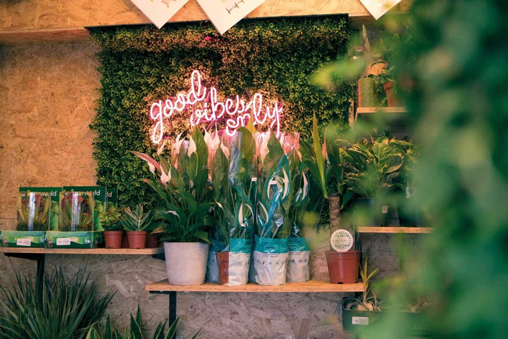 Plants sat on a shelf in Norwich plant shop, Botanical in front of a neon sign saying 'good vibes only' and surrounded by other plants