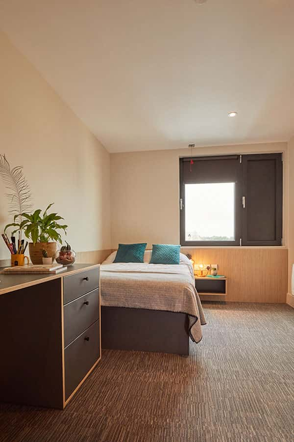 Duke Street Riverside bedroom showing a double bed with duvet and pillows, plants on a desk and a window