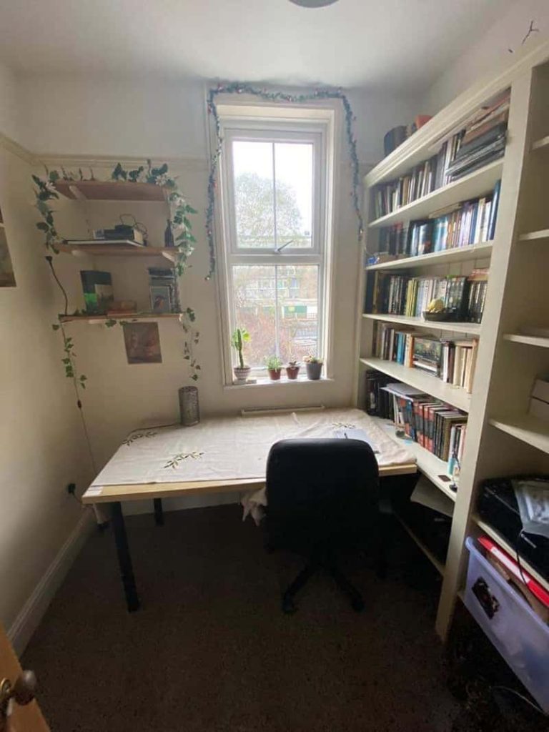 A study space in shared private student accommodation. A large desk in front of a tall window. To the right, white bookshelves filled with books. Above the desk are a small set of shelves with fake plants trailing down