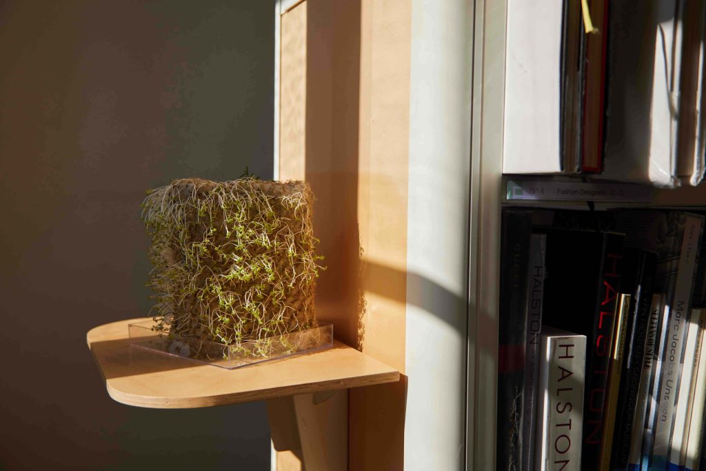 Artwork situated in library of a book standing upright with seeds growing out of the cover