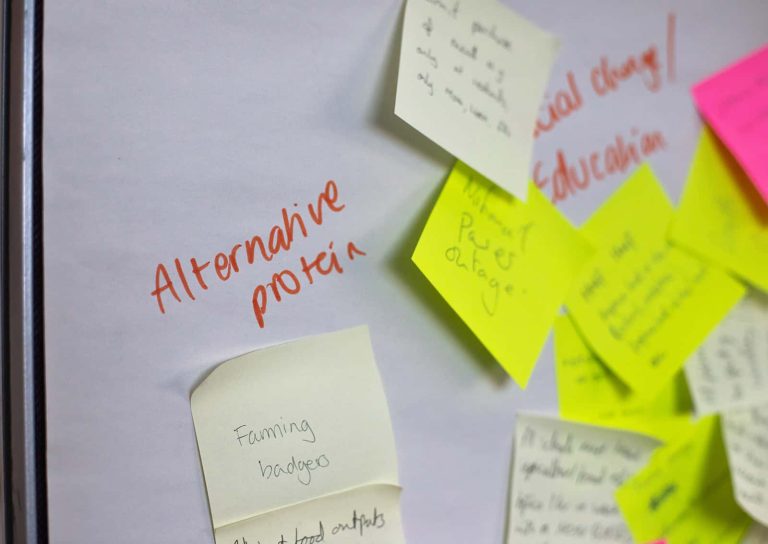 Norwich Research Park whiteboard with several post it notes and written on a board saying "alternative protein"