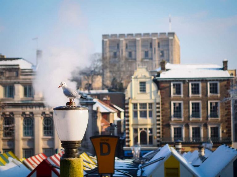 Image showing seagull on to of colourful market roofs