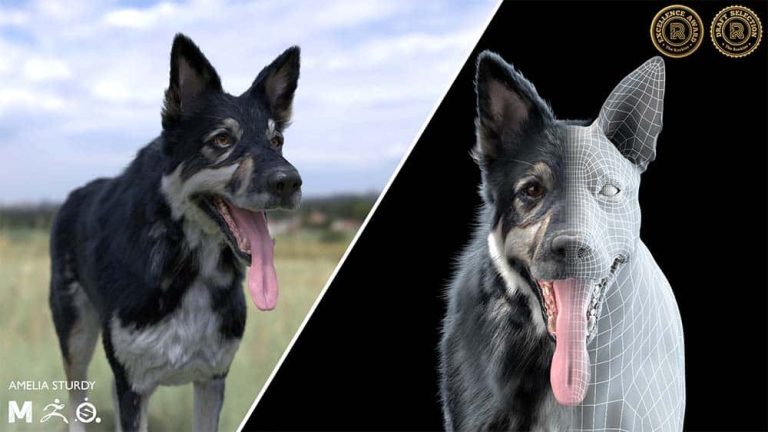 render of sheep dog with tongue out