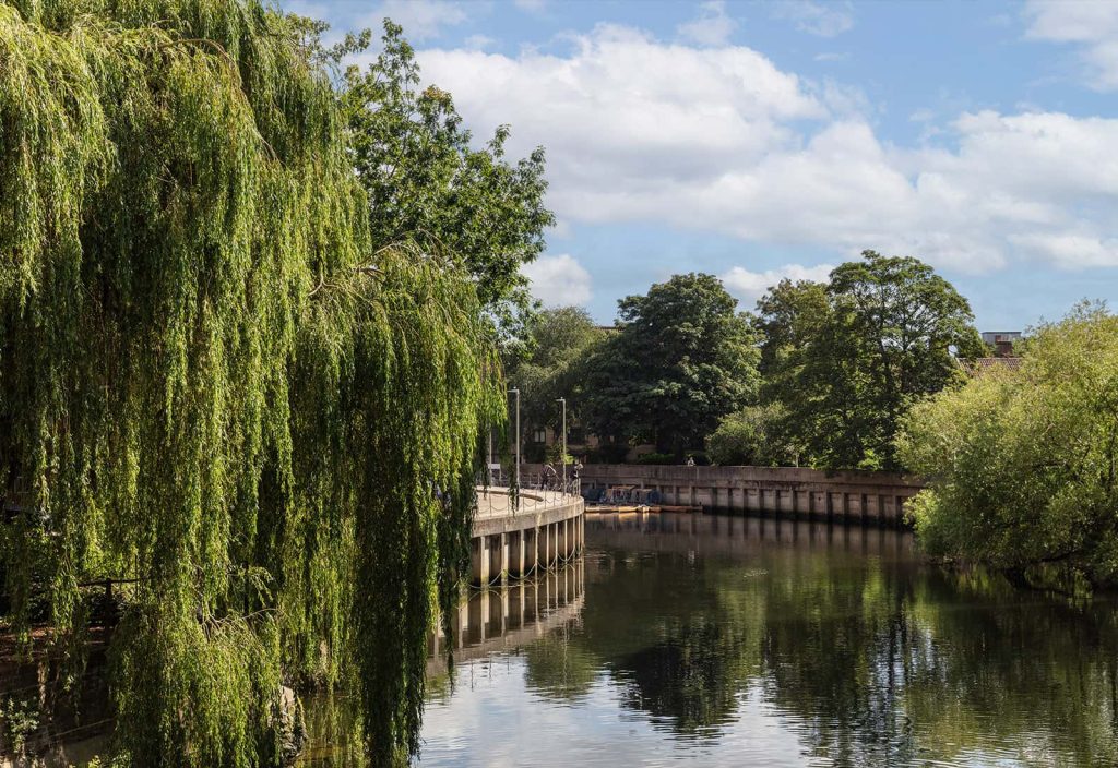 A photo of the River Wensum on a summers day.