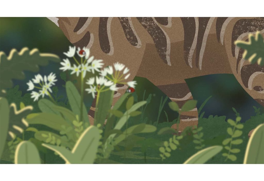 An illustration of wild garlic with a wild cats legs walking through it.