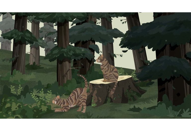 An illustration of a forest with two wild cats, one sat down on a tree trunk and the other playing on the grass.