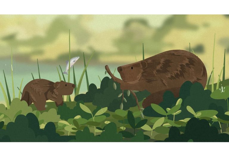 An illustration of two Beavers on a river side bank with a fish jumping out of water in the background.