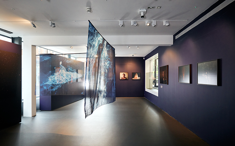 Interior photo of gallery space. Walls are painted a deep purple, with photos hung on them and translucent blue hangings arranged throughout the room.