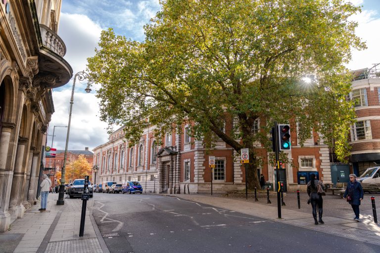 A photo of Bank Plain on a sunny day.