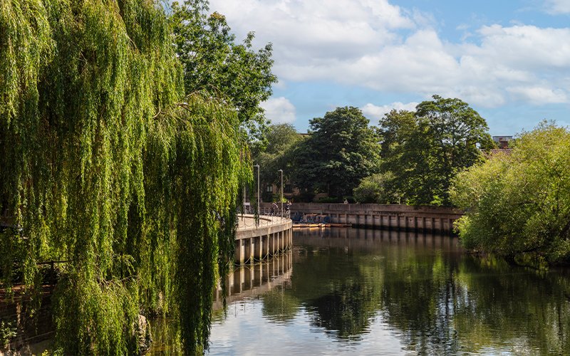 A photo of the River Wensum on a sunny day.