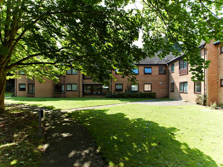 Beechcroft courtyard grassy square below a big tree, circled by red brick buildings