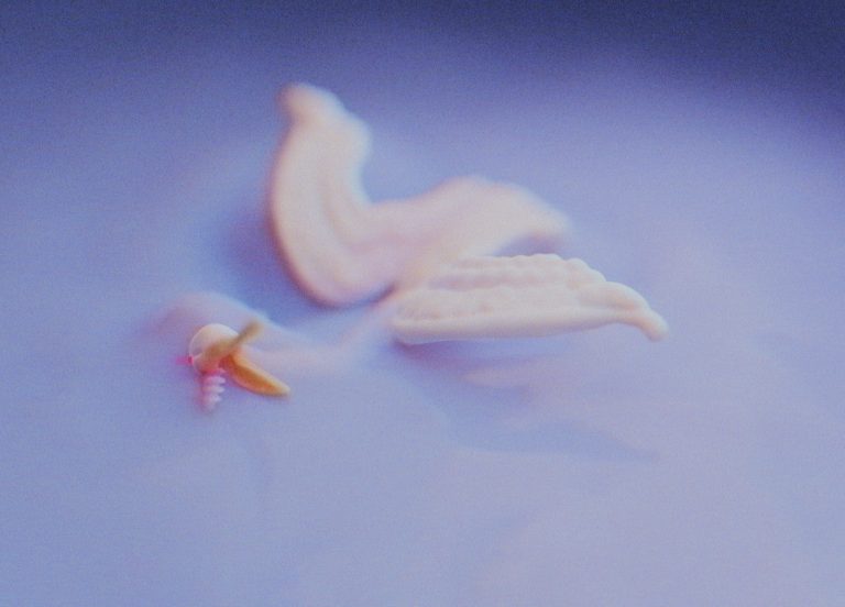 A blurry dreamlike image of a swan swimming or drowning in cloudy water or milk