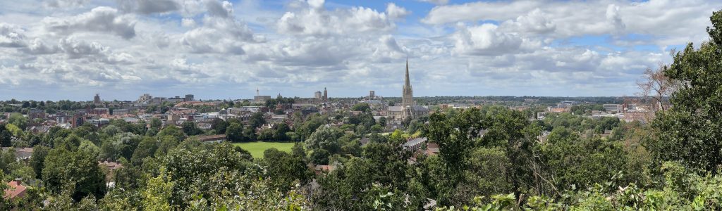 A panoramic photo of Norwich City. The image is a skyline of the city full of blue sky and greenery, you can see the Cathedral in the far distance.