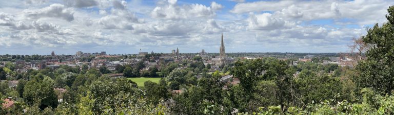 A panoramic photo of Norwich City. The image is a skyline of the city full of blue sky and greenery, you can see the Cathedral in the far distance.