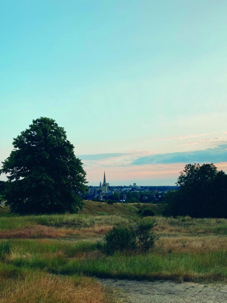 A photo of Ketts Hill in Norwich taken at dusk. The image is of the large green space and area with the city skyline in the background.