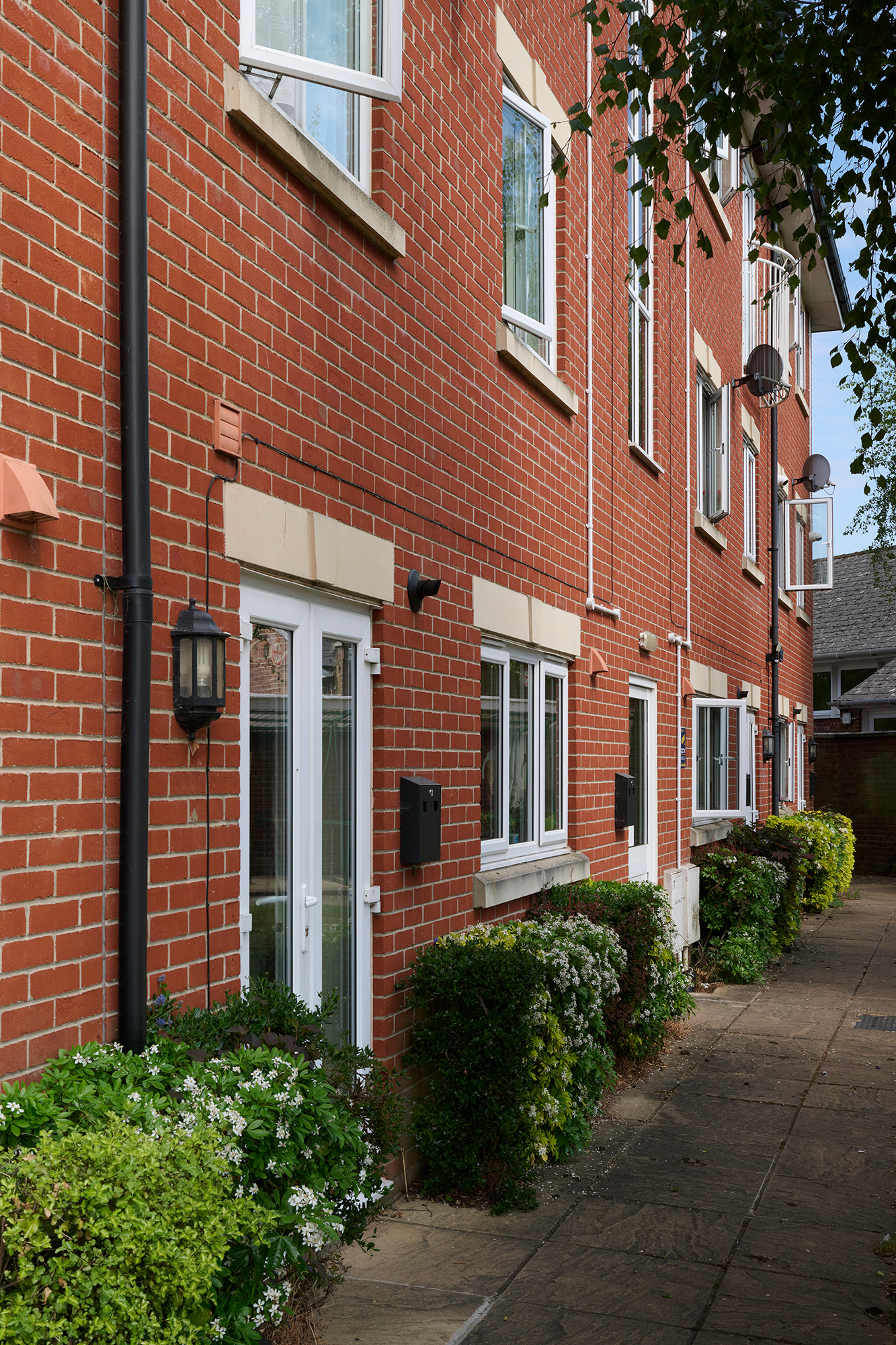 A row of modern red brick townhouses with white-framed windows, small front gardens with green bushes, and a paved pathway running alongside the buildings.