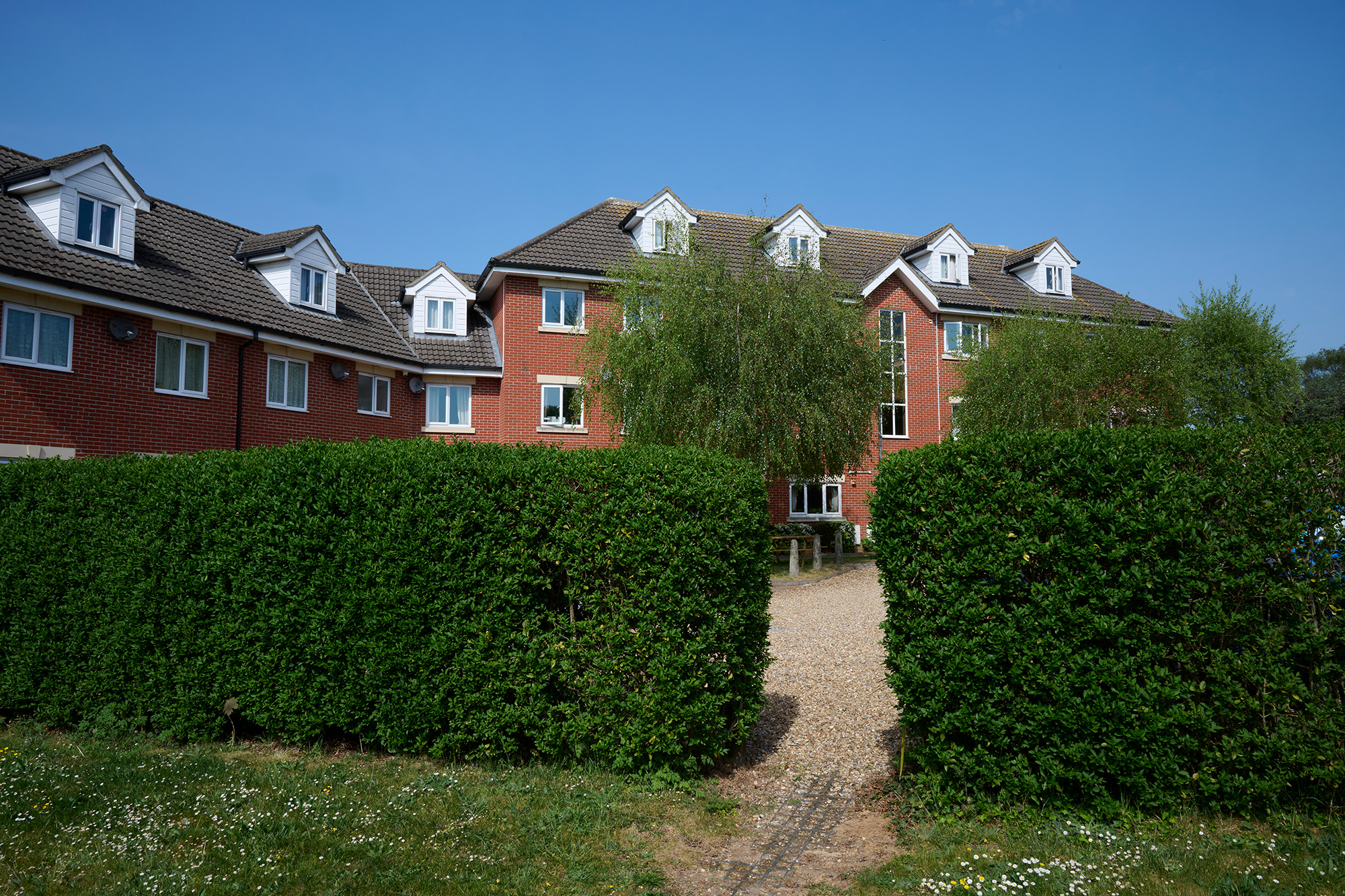 A large brick building with white window frames is partially hidden behind tall, neatly trimmed green hedges. A gravel path leads through the hedges toward the entrance. Trees and grass are visible under a blue sky.