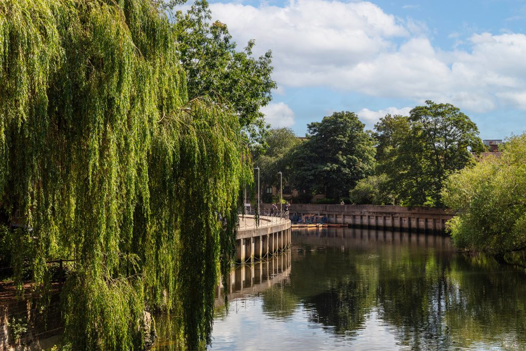 A serene riverside scene with a calm river reflecting the greenery of large willow trees and other foliage. A stone pathway and bridge with railings run alongside the water, and a clear blue sky with scattered clouds is visible overhead.