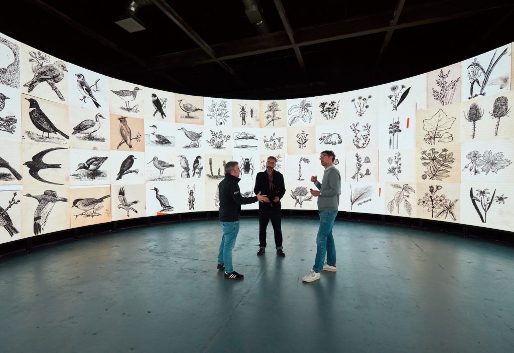 Three researchers stood inside a 360 degree digital screen, showing hand drawn illustrations of wildlife.