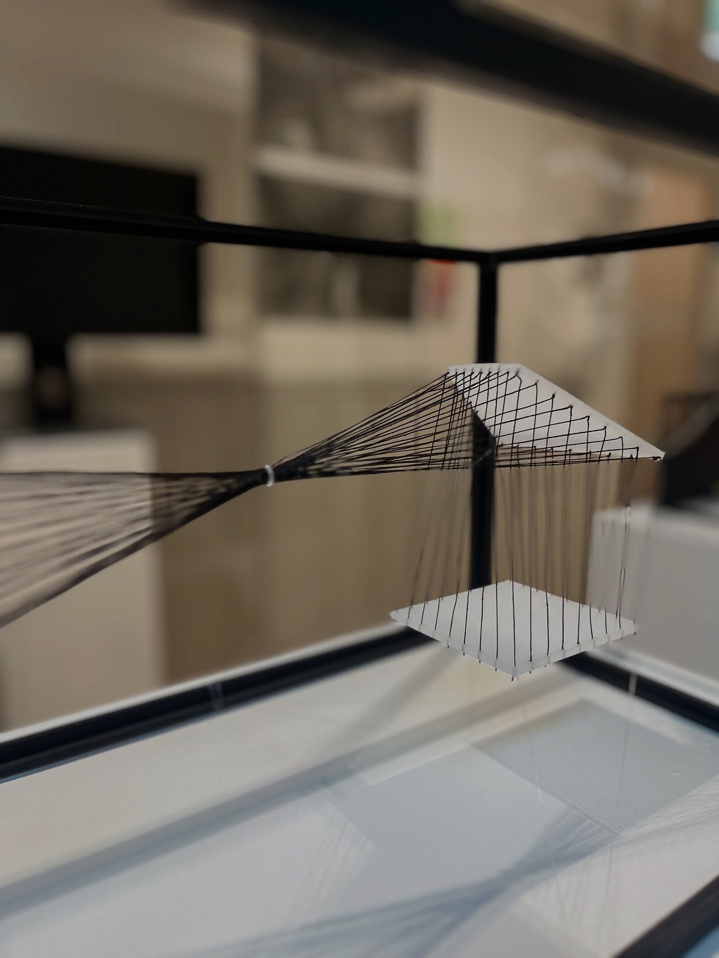 An image relating to GRAD FEST 25 is now open! Come and visit some work of BA Architecture and M.Arch at Boardman House