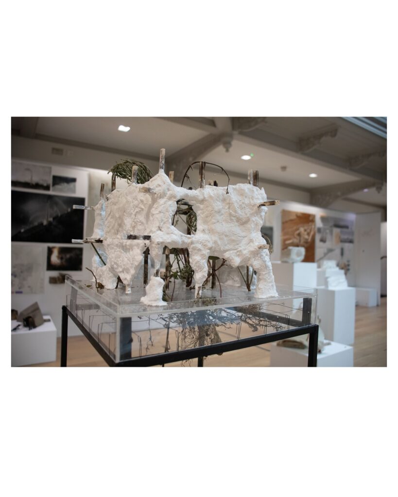 A sculptural architectural model features white textured surfaces with organic shapes and plant elements, displayed on a clear stand in a gallery setting with drawings and models visible in the background.