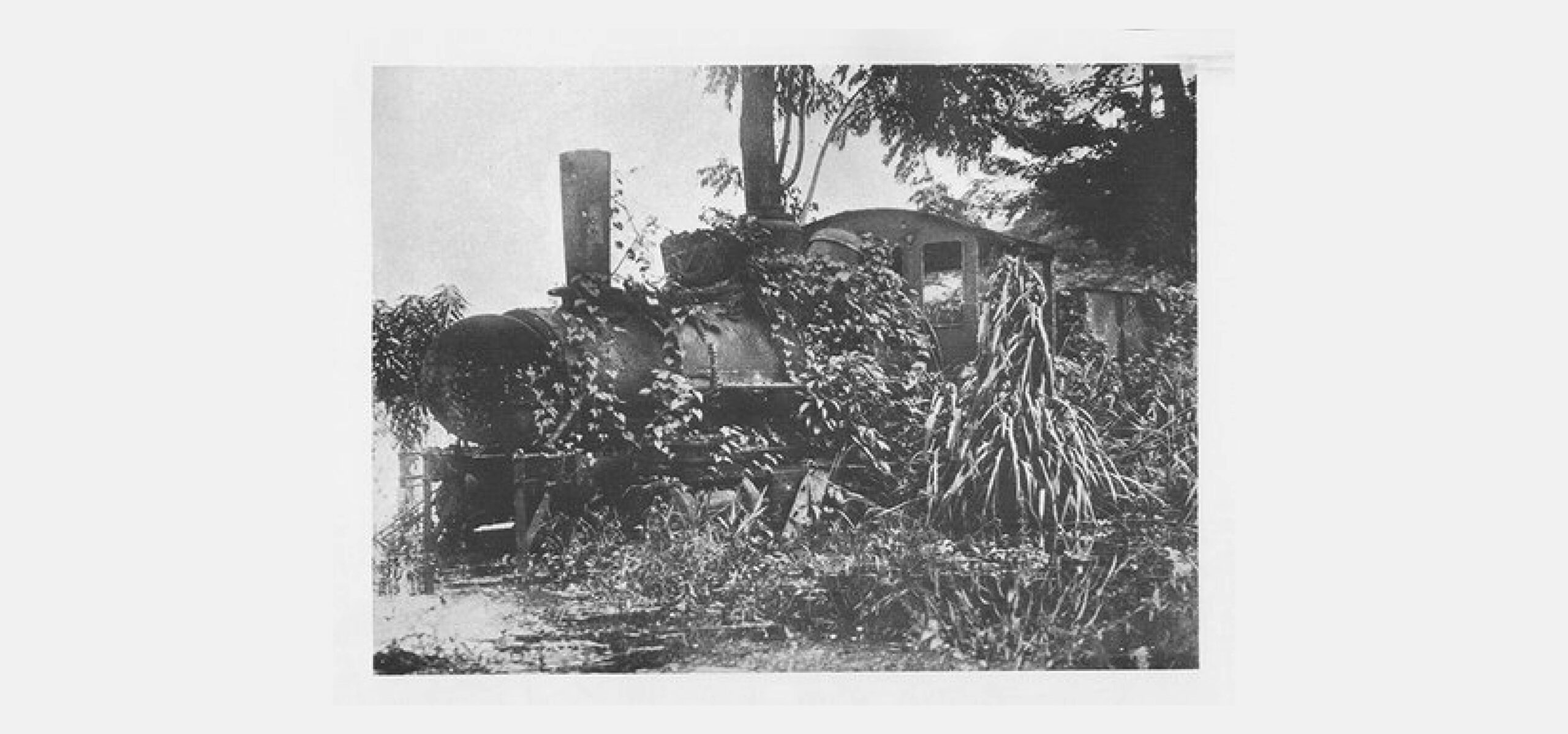 Old black-and-white photo of an abandoned steam locomotive covered in overgrown plants and vines, its surrealism heightened by dense foliage and trees, with water in the foreground reflecting the dreamlike scene.