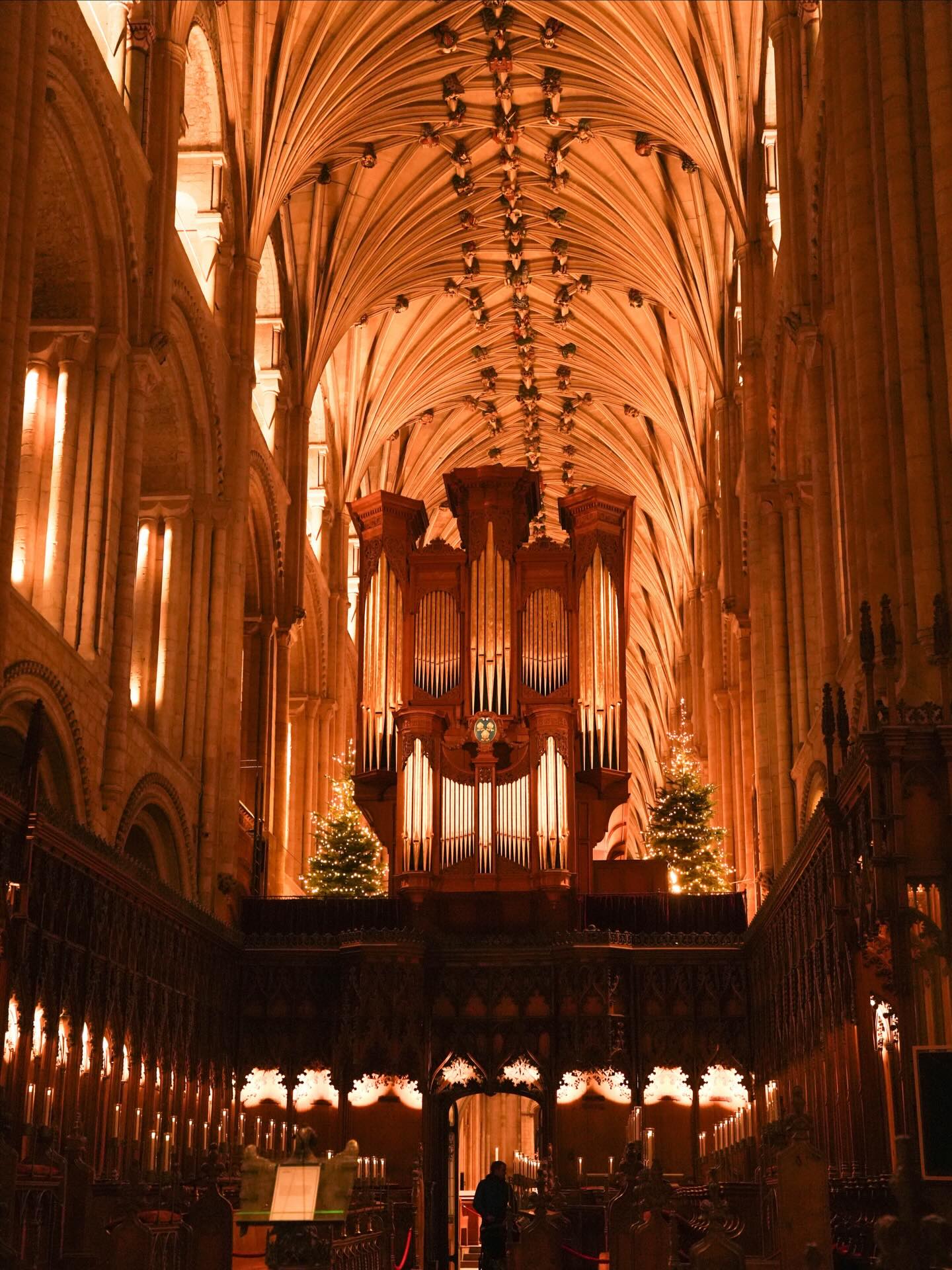 A grand cathedral interior with vaulted ceilings, warmly lit columns, a large pipe organ at the front, two decorated Christmas trees, and intricate wooden choir stalls lining the sides.