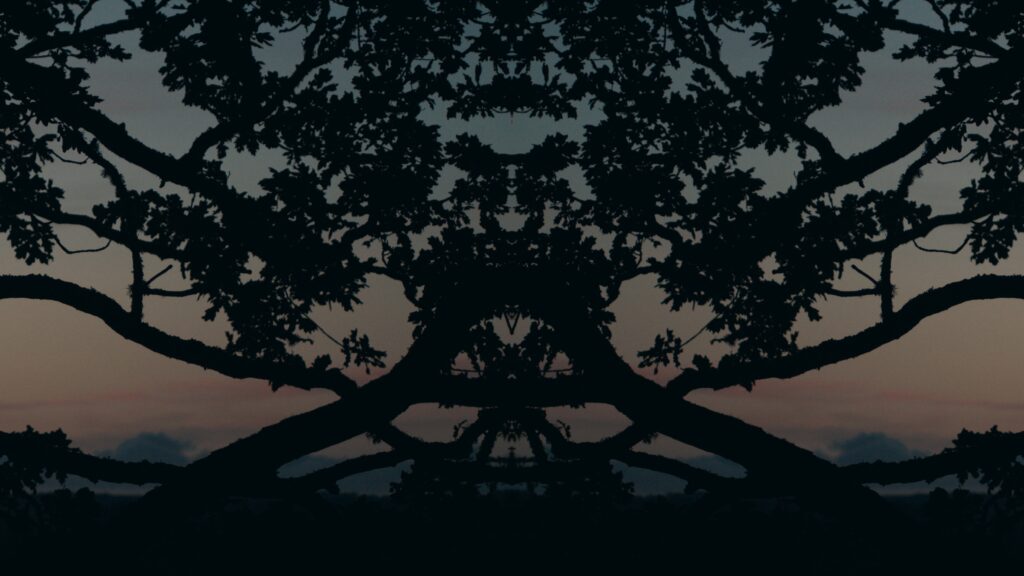 Silhouetted tree branches form a symmetrical, mirrored pattern against a dusky sky with soft pink and blue hues at sunset. The intricate branches create an abstract, almost face-like shape.