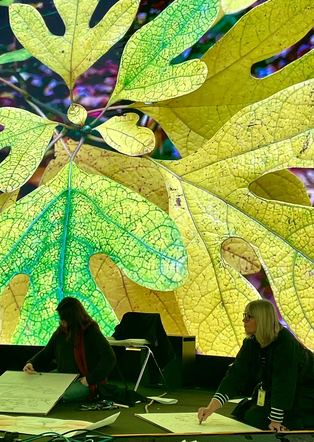 Two people sketch on large paper sheets on the floor in front of a bright, detailed, enlarged image of yellow-green leaves displayed on a screen in the background.