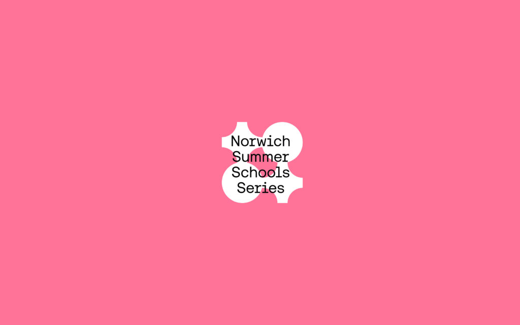 White geometric shapes with the text "Norwich Summer Schools Series" in black, centered on a solid pink background.