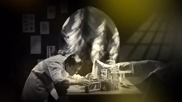 A person in a white coat leans over a table with scientific equipment and a birdcage, illuminated by light streaming through a window in a shadowy room.