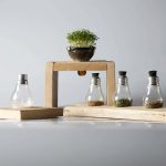 Image of a scientific bottles standing next to a pot of grass on wooden apparatus