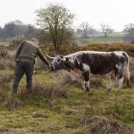 Photograph by Ben Leach of BA Photography, Norwich University of the Arts of a man feeding a cow