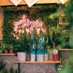 Plants sat on a shelf in Norwich plant shop, Botanical in front of a neon sign saying 'good vibes only' and surrounded by other plants