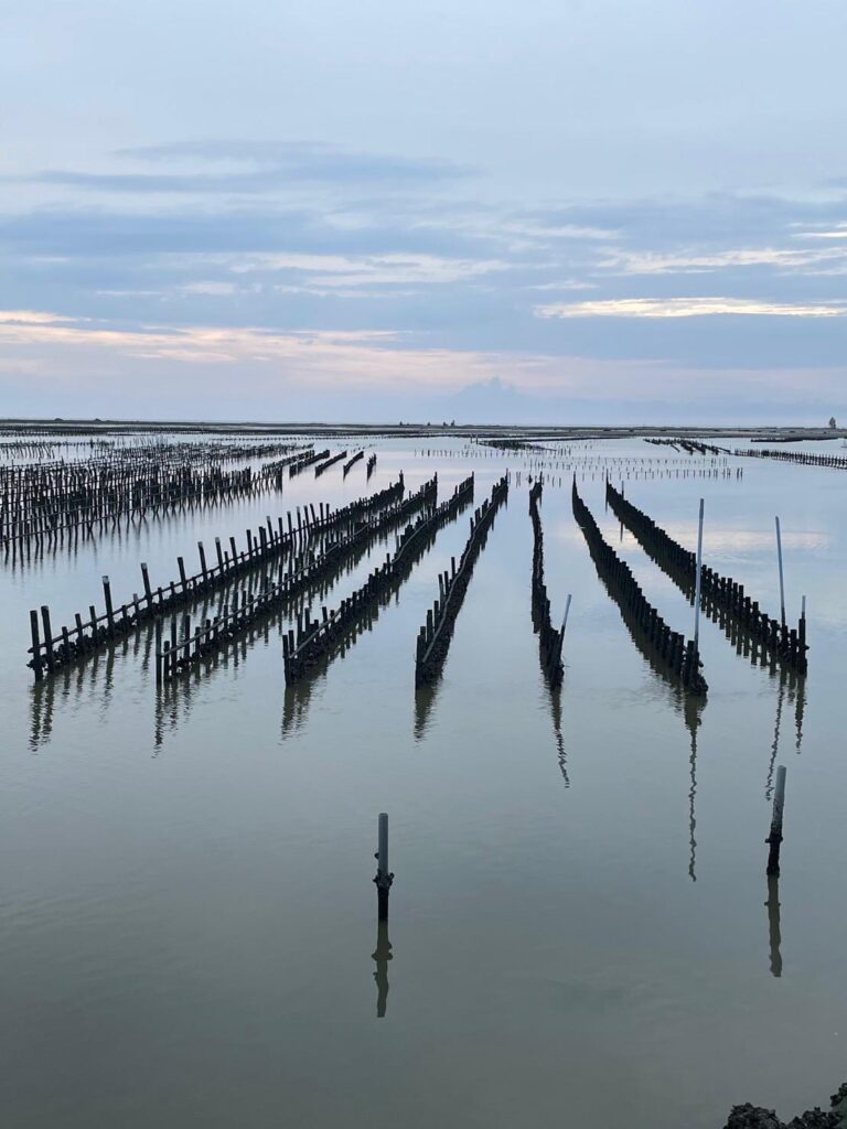 A photo of an oyster farm in Kaohsiung, Taiwan.
